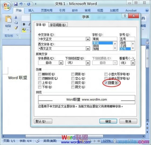 Word2007文档中隐藏文字怎么设置