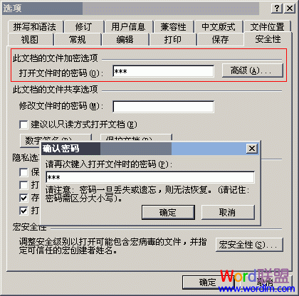 给Word文档加密技巧