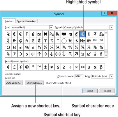 如何在Word 2013中使用特殊字符？